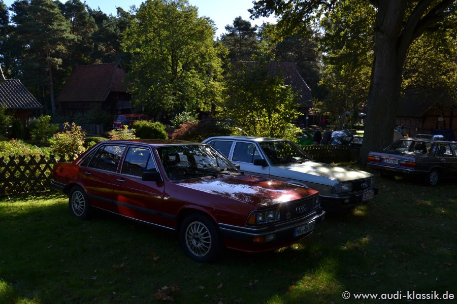 DSC_1513.jpg