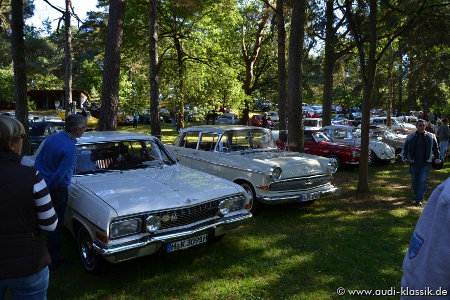 DSC_1566.jpg