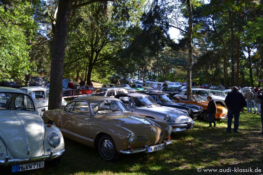 DSC_1569.jpg