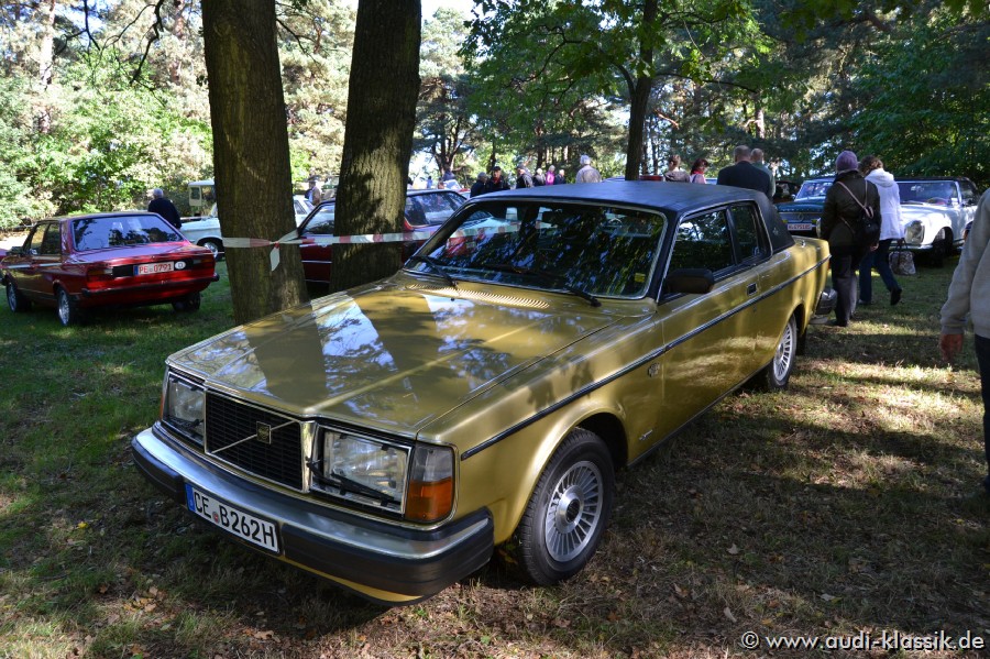 DSC_1579.jpg