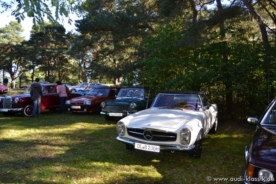 DSC_1580.jpg