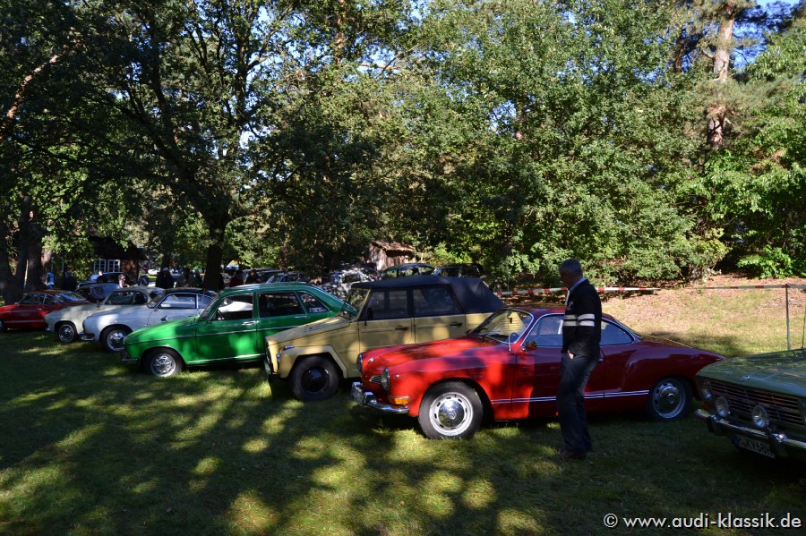 DSC_1584.jpg