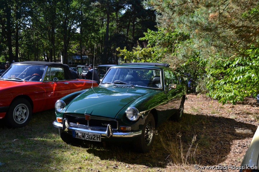 DSC_1595.jpg